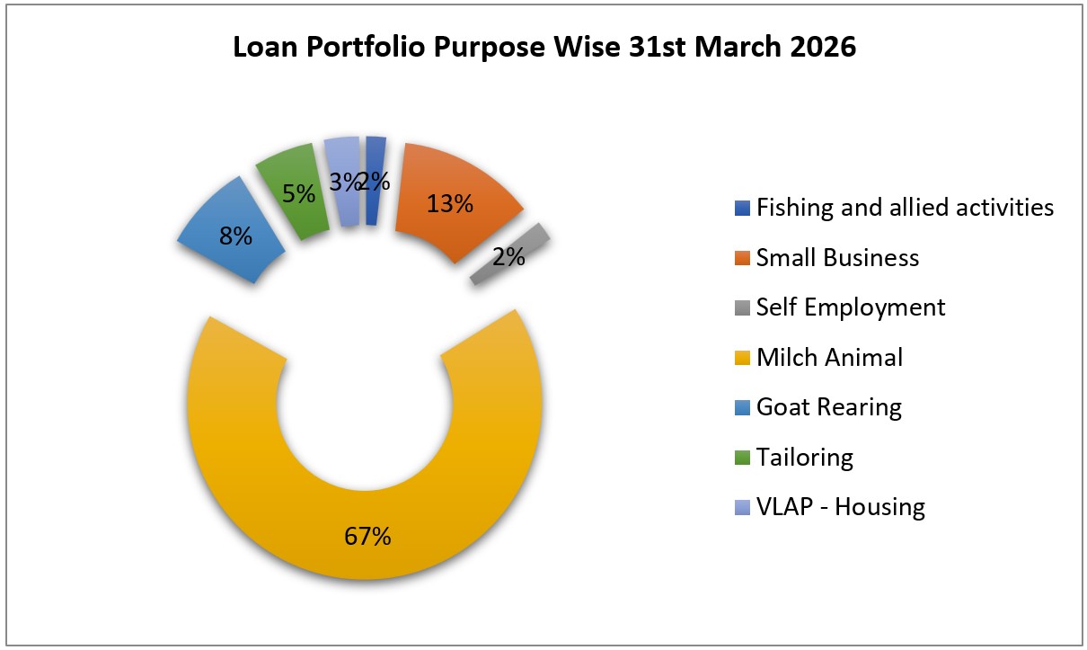 Loan-portfolio-2026